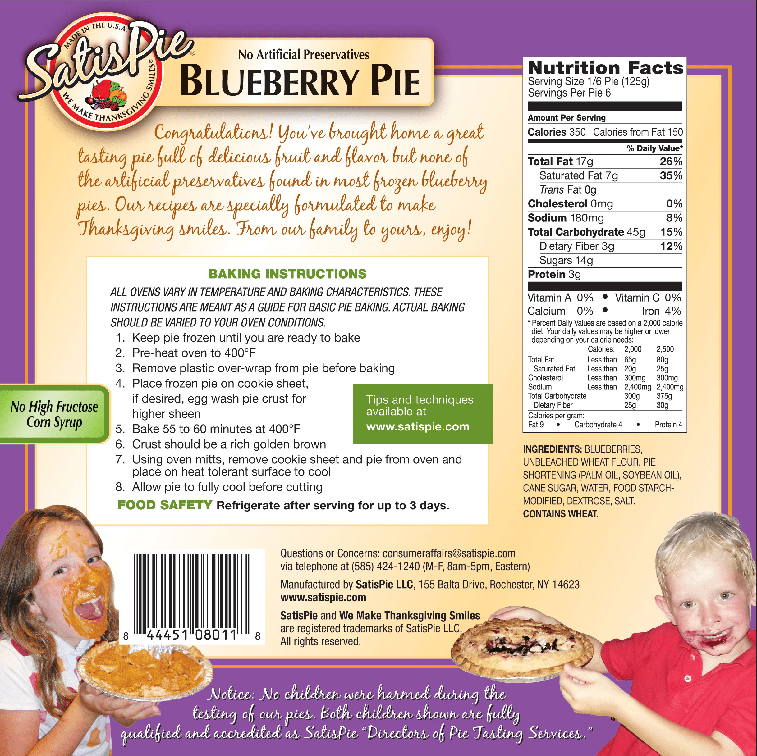Blueberry Pie - Handcrafted artisan pie made with premium ingredients - Back view